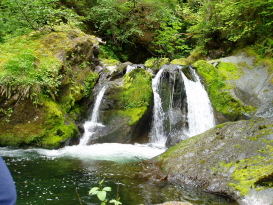 Waterfall Trail in Washington