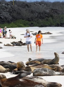 Family travel to the Galapagos Islands, Susan Farewell