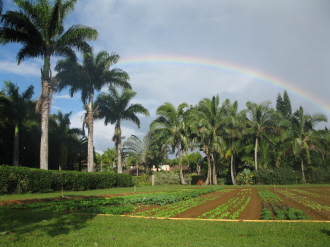 farm stays on Kauai, farm stays in the US